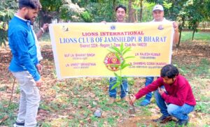 लायंस क्लब ऑफ जमशेदपुर भारत के सदस्यों ने आज जुबली पार्क में किया पौधारोपण