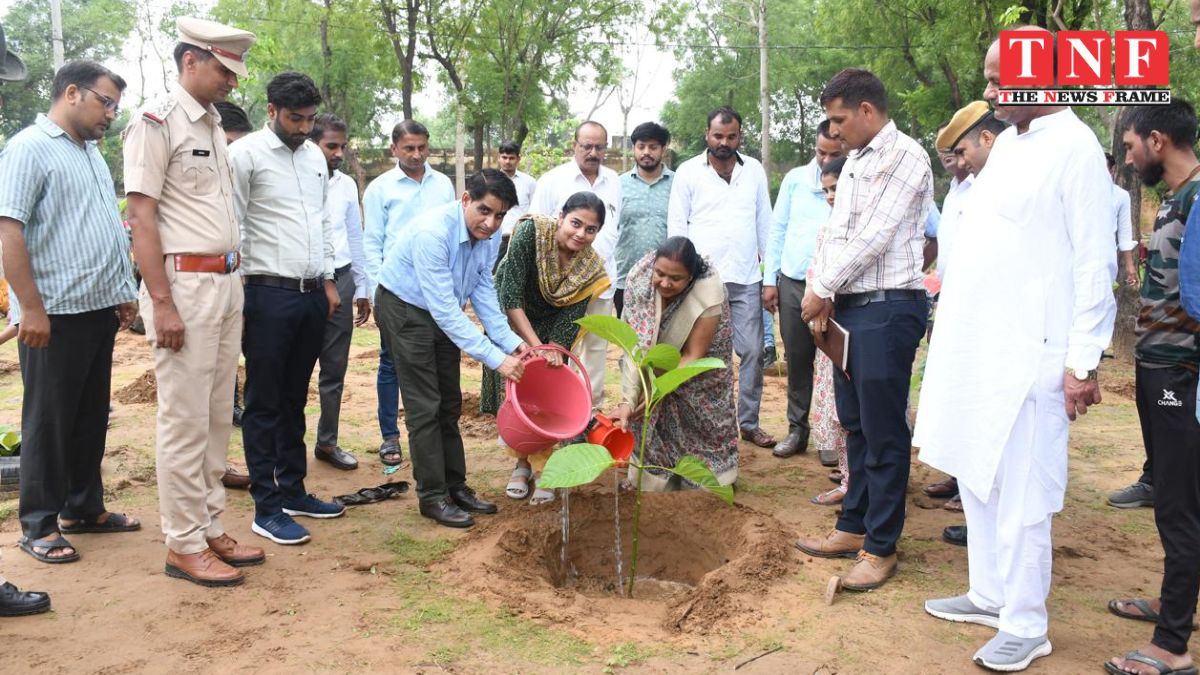 जिला कलेक्टर ने किशनगढ़ बास क्षेत्र में सघन वृक्षारोपण का शुभारंभ किया। पंचायती राज, वन, नगर पालिका और शिक्षा विभाग ने मिलकर 30000 पौधे रोपे।