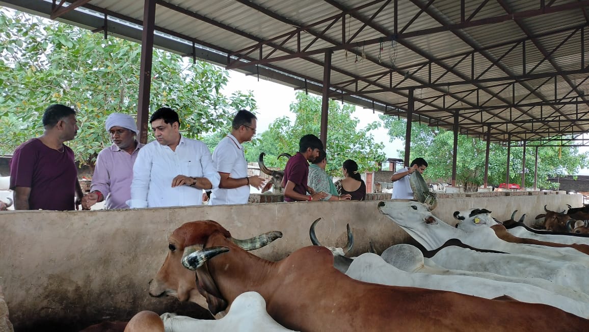 गौशाला