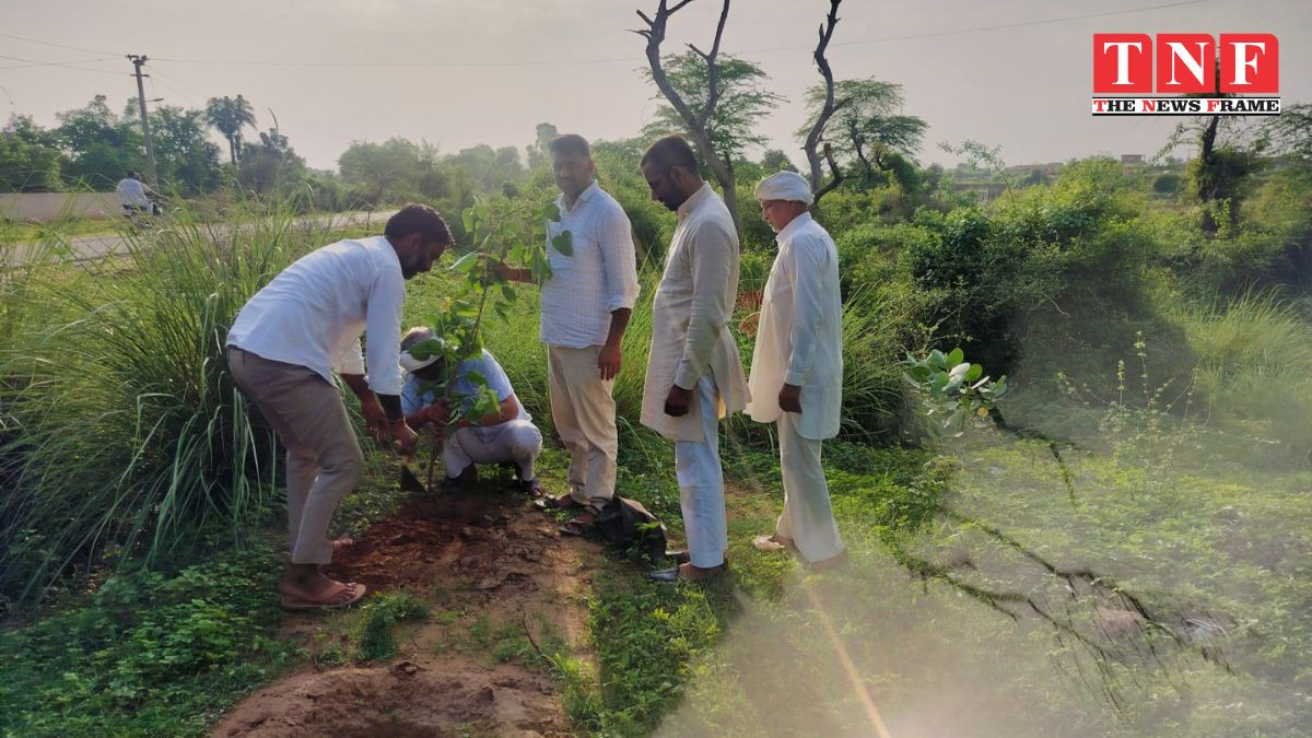 एक पेड़ मां के नाम अभियान के तहत सूरजमुखी में किया पौधरोपण