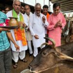 गौ संवर्धन एवं संरक्षण में मोनी बाबा गौशाला बेहतरीन कार्य कर रही है -जवाहर सिंह बेढम