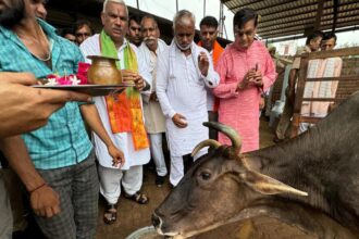 गौ संवर्धन एवं संरक्षण में मोनी बाबा गौशाला बेहतरीन कार्य कर रही है -जवाहर सिंह बेढम