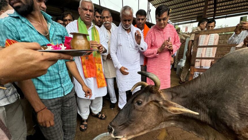 गौ संवर्धन एवं संरक्षण में मोनी बाबा गौशाला बेहतरीन कार्य कर रही है -जवाहर सिंह बेढम