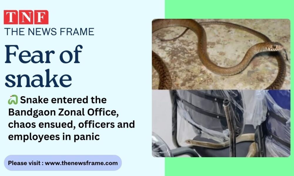 THE NEWS FRAME