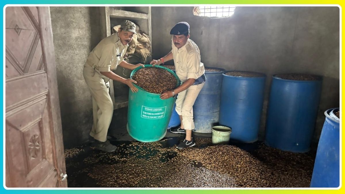 Giridih: तिसरी थाना क्षेत्र में अवैध चुलाई शराब के विरुद्ध उत्पाद विभाग की बड़ी कार्रवाई, 330 लीटर शराब और 3400 किलो जावा महुआ बरामद 112 THE NEWS FRAME
