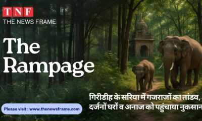 THE NEWS FRAME