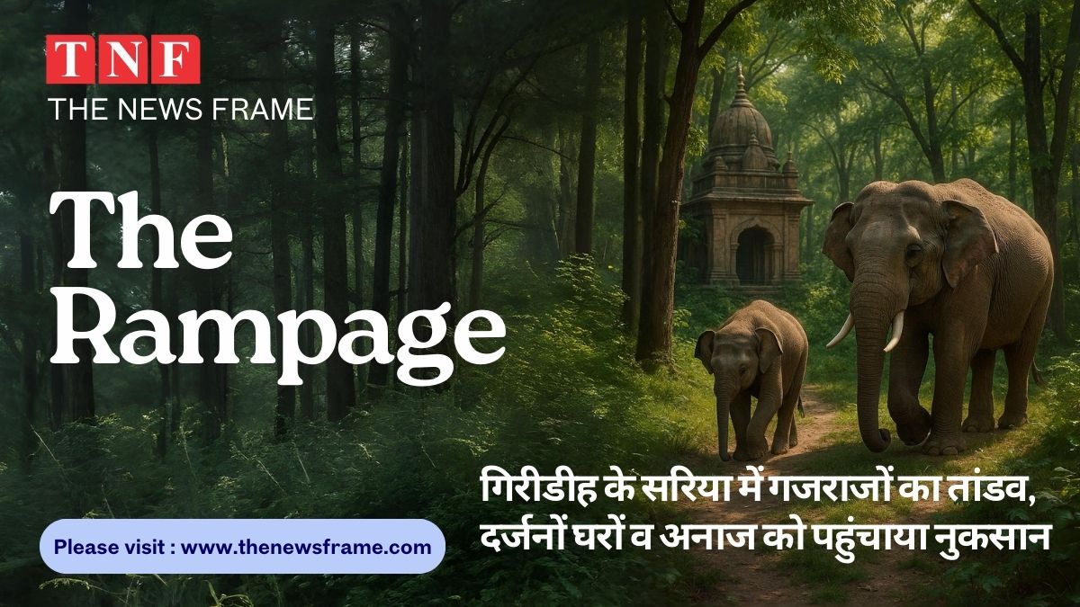 The rampage of elephants : घर, दीवारें और अनाज सब तबाह 114 THE NEWS FRAME