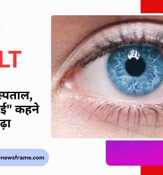 THE NEWS FRAME