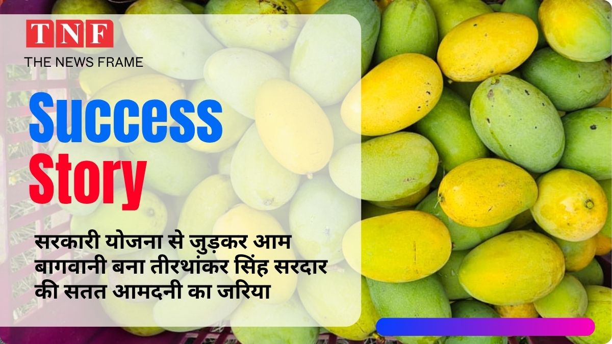 Success Story: सरकारी योजना से जुड़कर आम बागवानी बना तीरथांकर सिंह सरदार की सतत आमदनी का जरिया 115 THE NEWS FRAME