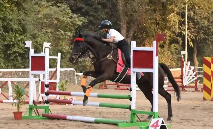 WhatsApp Image 2026 01 22 At 8.16.51 PM