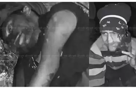 WhatsApp Image 2026 01 27 At 12.50.18 PM