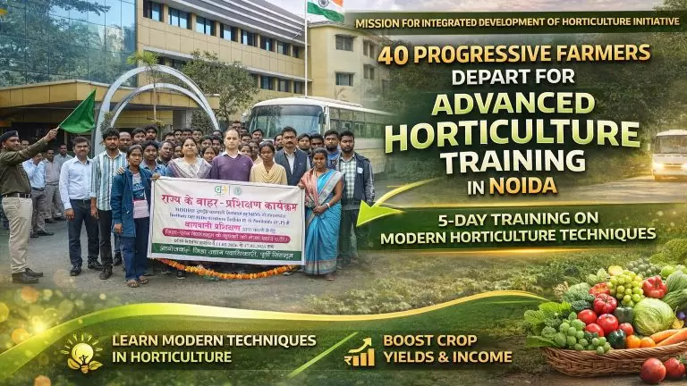 ChatGPT Image Feb 12 2026 01 05 31 PM